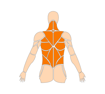 Zone 2 Pulse